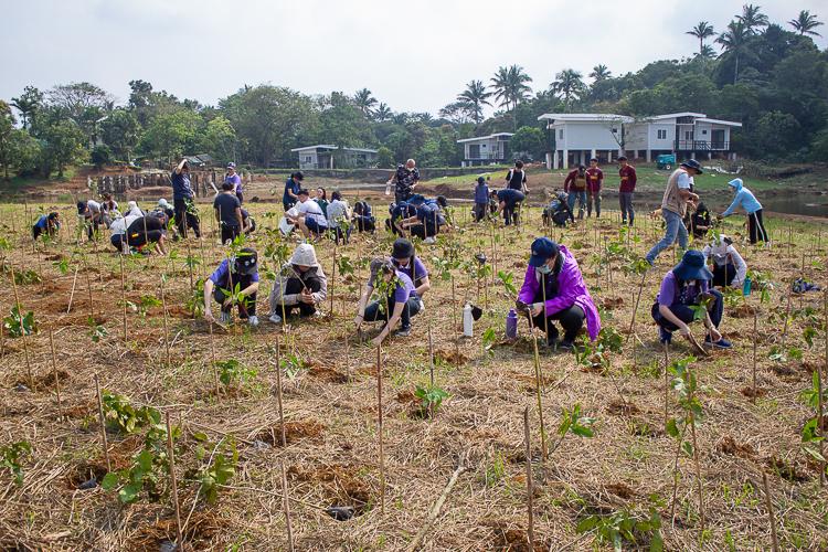 Community members planting native trees in the hills of Tagbubunga, Leyte